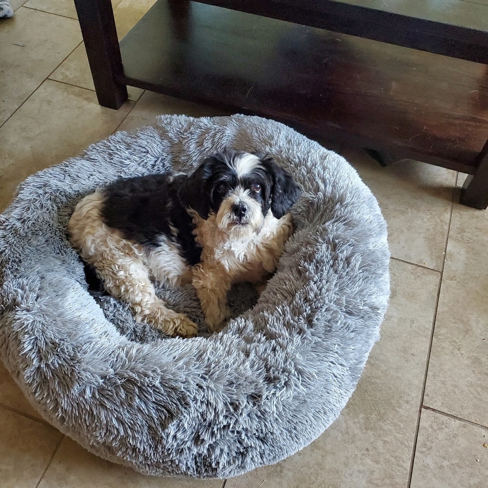 Meet your Posher, Mary